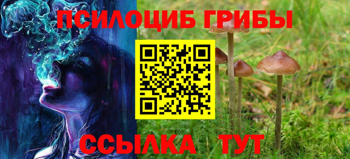 цены наркотик  Псилоцибиновые грибы мицелий  Галлюциногенные грибы прущие грибы  Вход с VPN  Благовещенск 